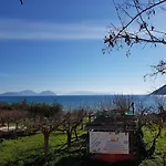 Nefeli